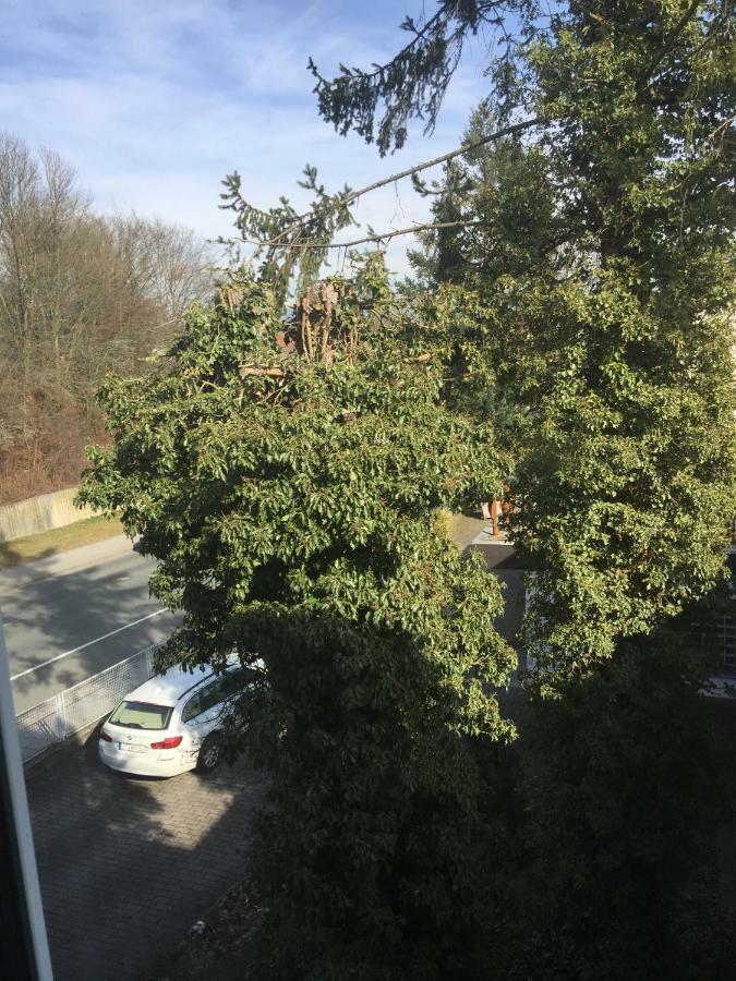 Apartment Rheingold Bayreuth Dış mekan fotoğraf